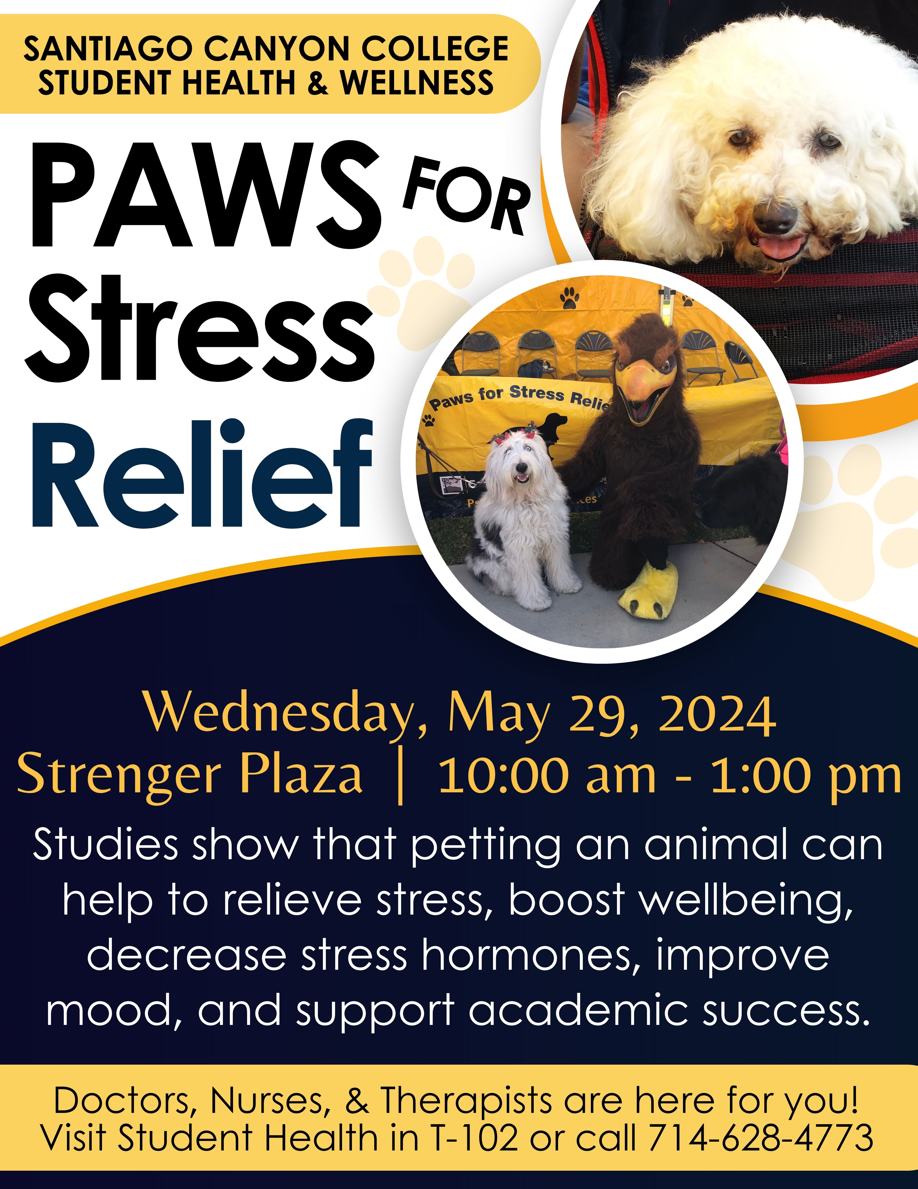 PAWS Spring 2024 Posters navy_Michelle Ford.jpg