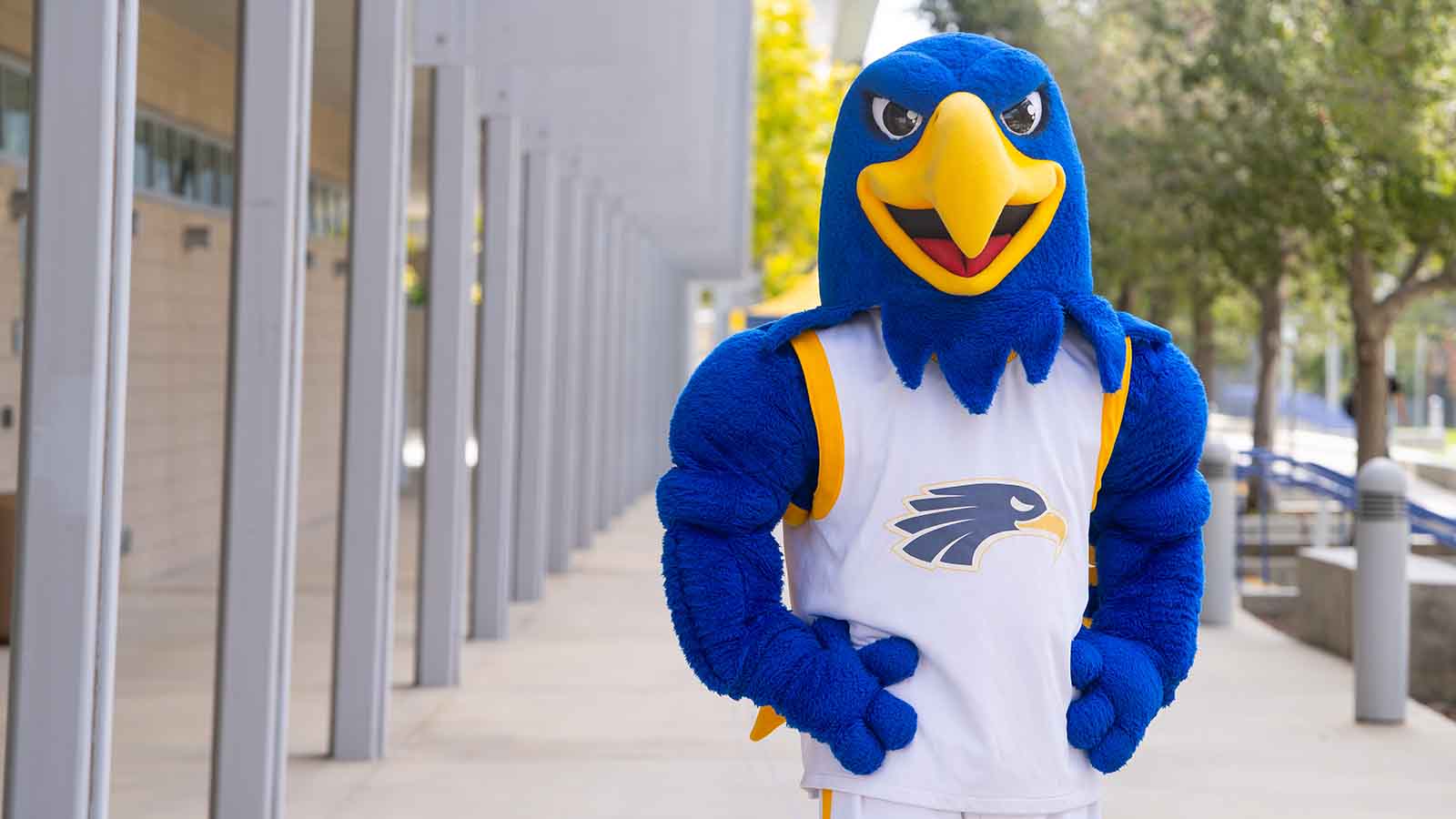 School mascot Tony on campus