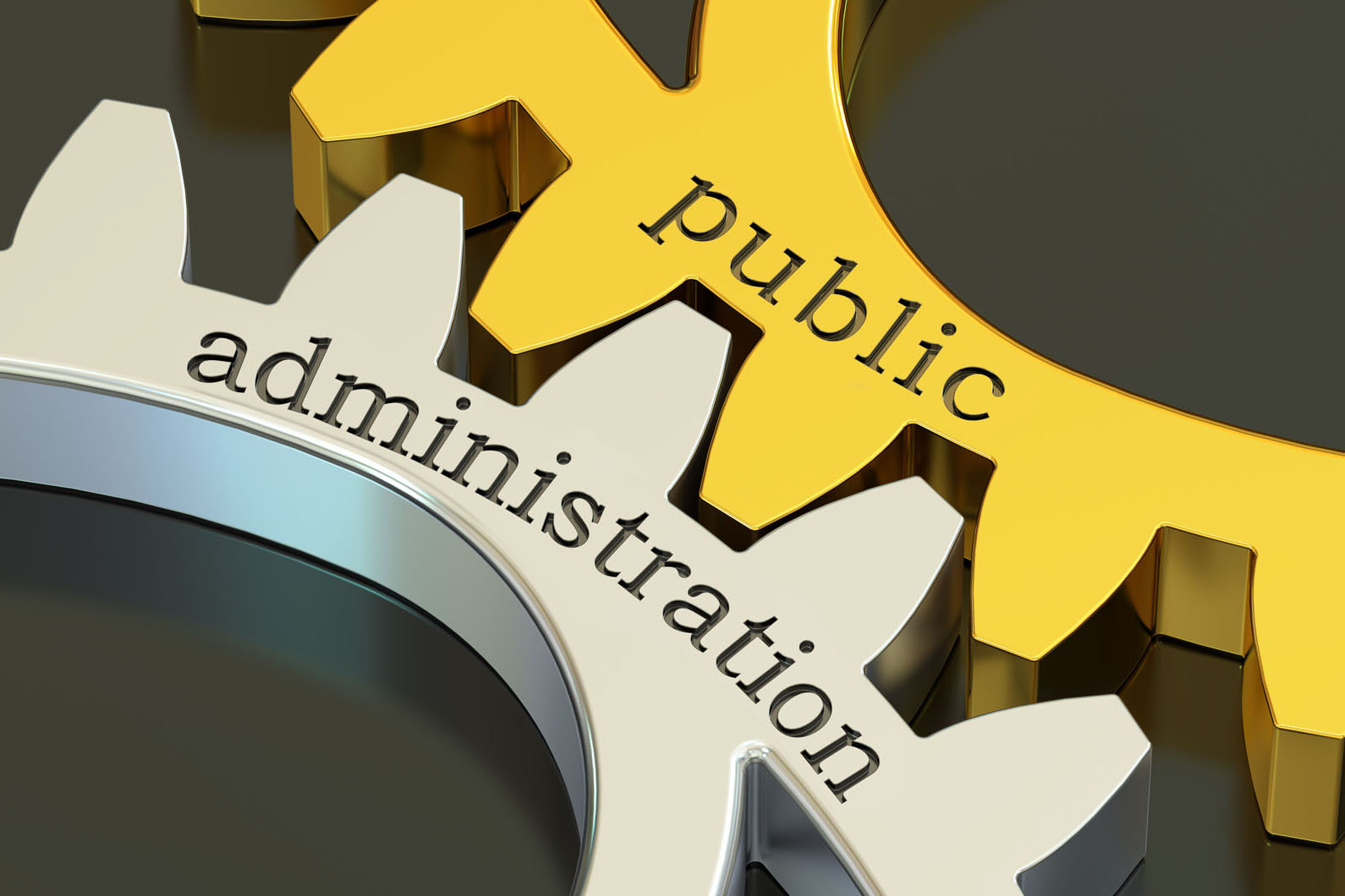 public administration written on two touch gears