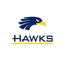 Hawks Image