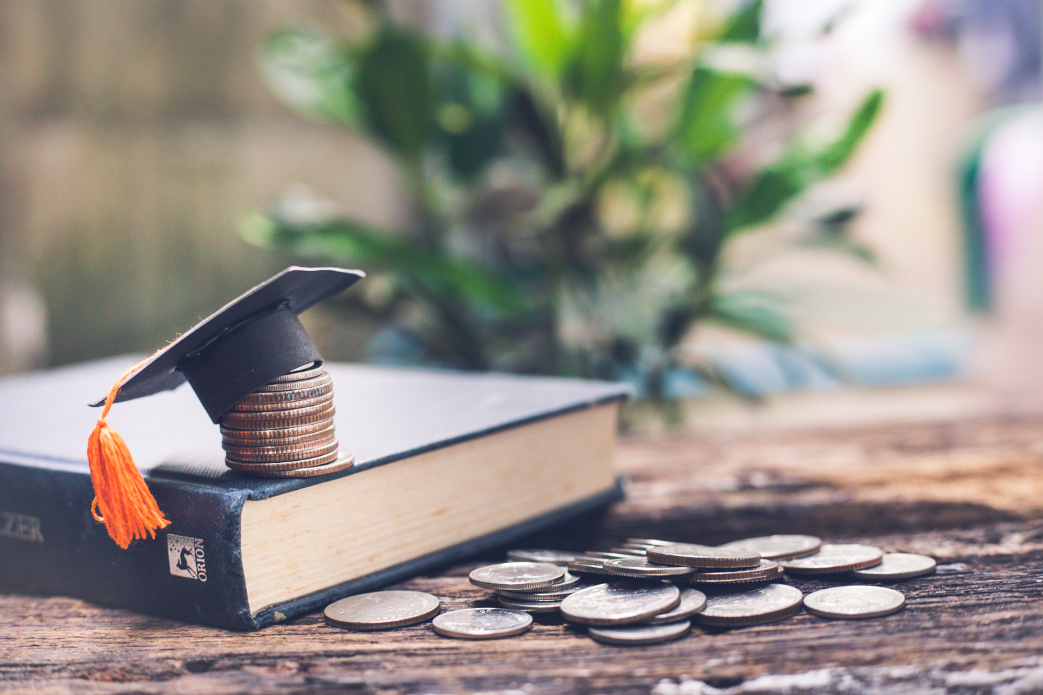 Promise Scholarship